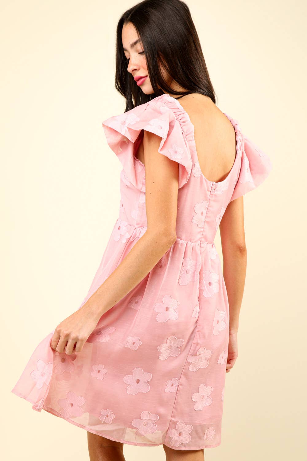 Flower Embroidered Sheer Organza Mini Dress: Pink