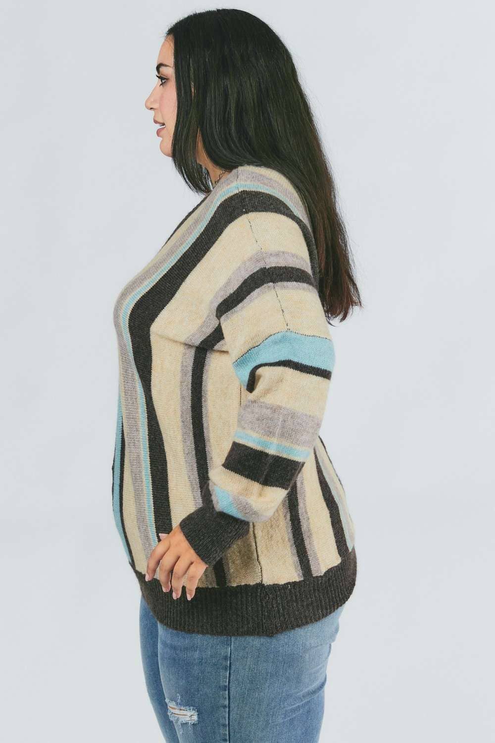 PLUS STRIPED V NECK SWEATER