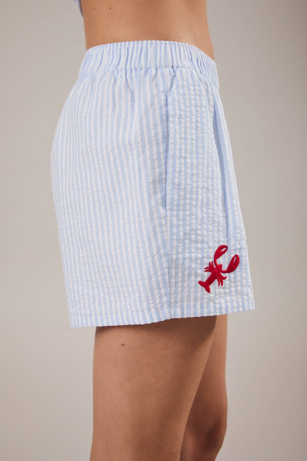 BOXER WITH LOBSTER EMBROIDERY: WHITE-BLUE STRIPE