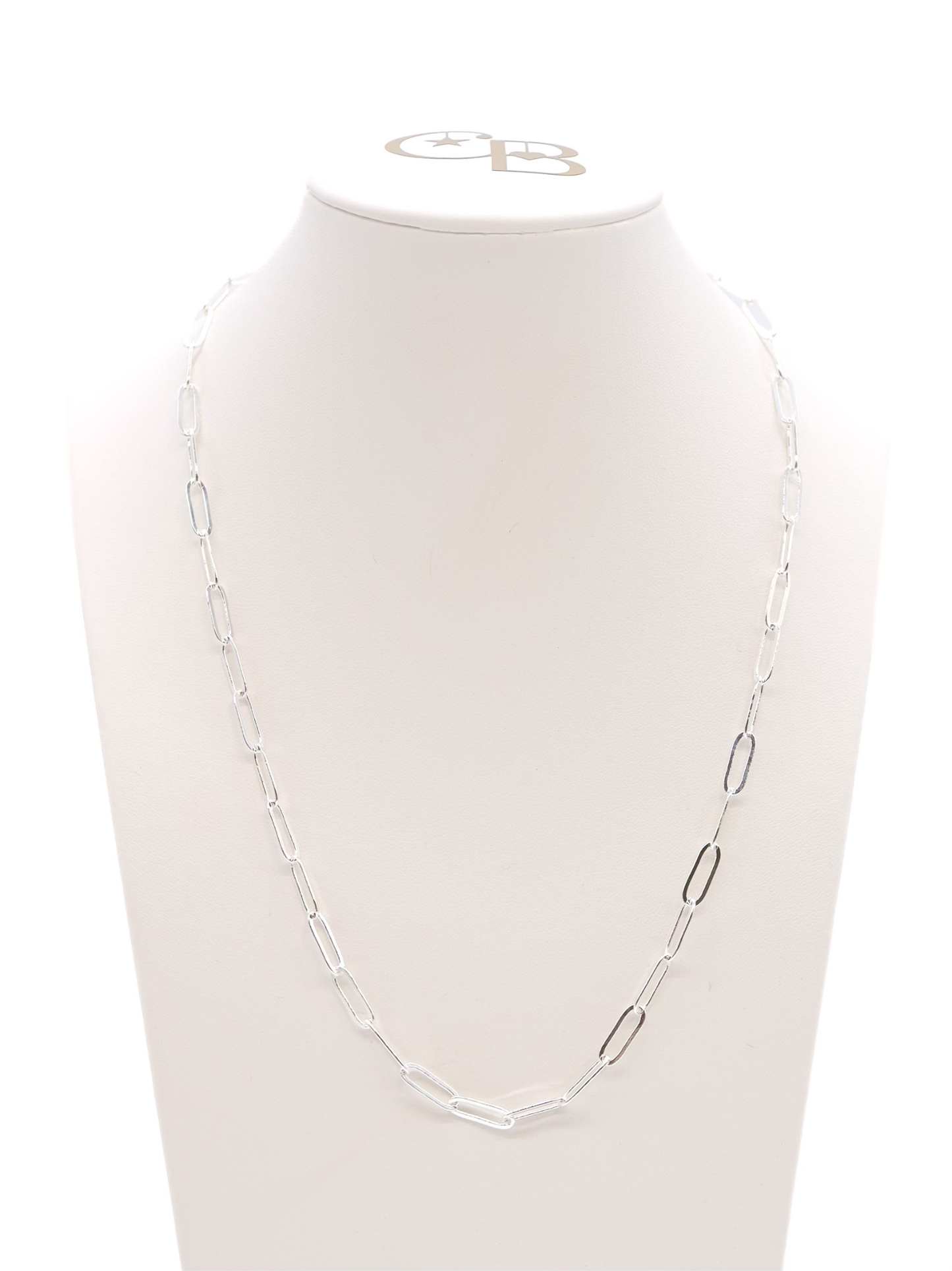 TCB Silver Ashley Necklace | 16 inch