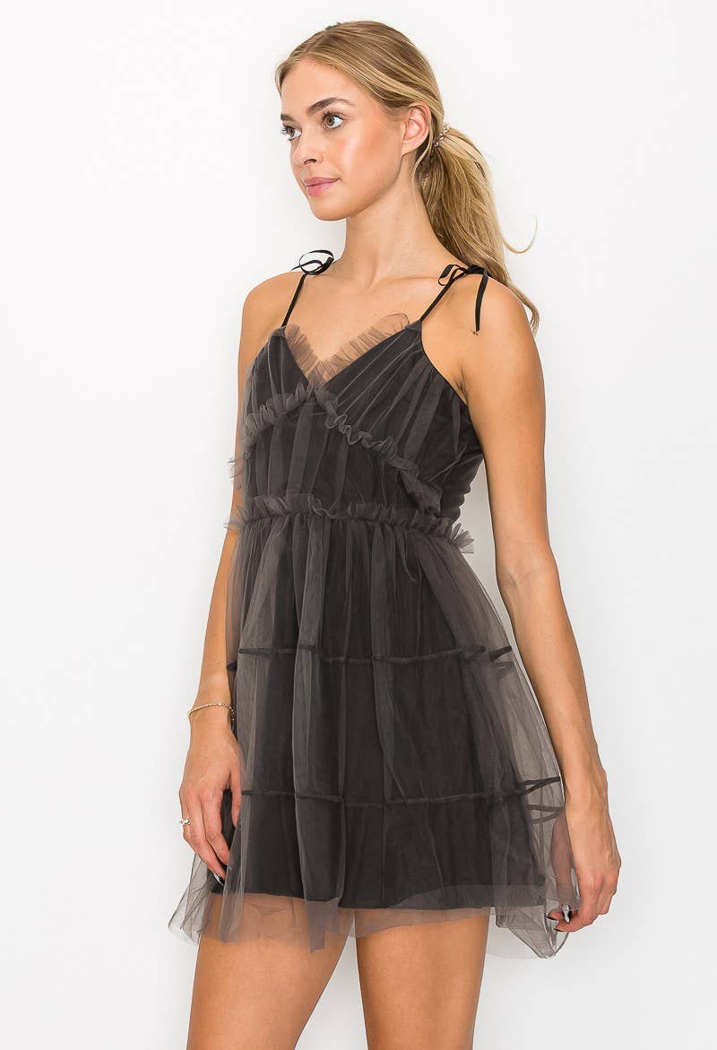 Little Black Mesh Mini Dress