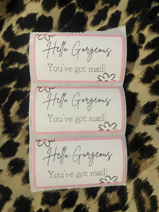 Hello Gorgeous (Stickers): 100 / White w/pink border