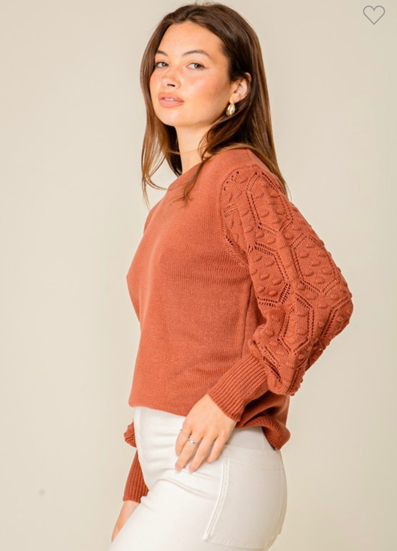 Cable Knit Sleeve Sweater