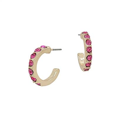 Hot Pink Crystal and Gold .75" Hoop Earring