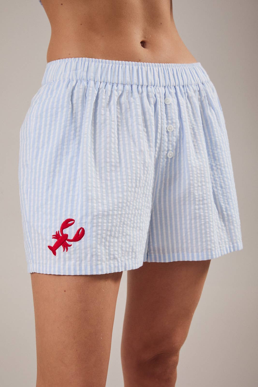BOXER WITH LOBSTER EMBROIDERY: WHITE-BLUE STRIPE